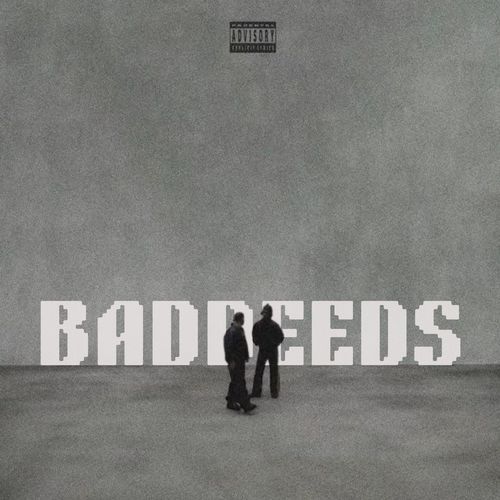 Baddeeds