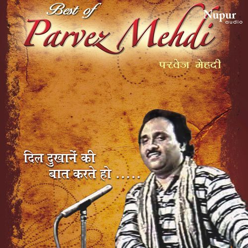 Best Of Parvez Mehdi