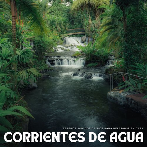 Naturaleza Curativa cover art