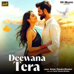 DEEWANA TERA