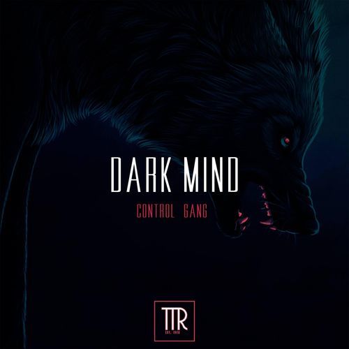 Dark Mind