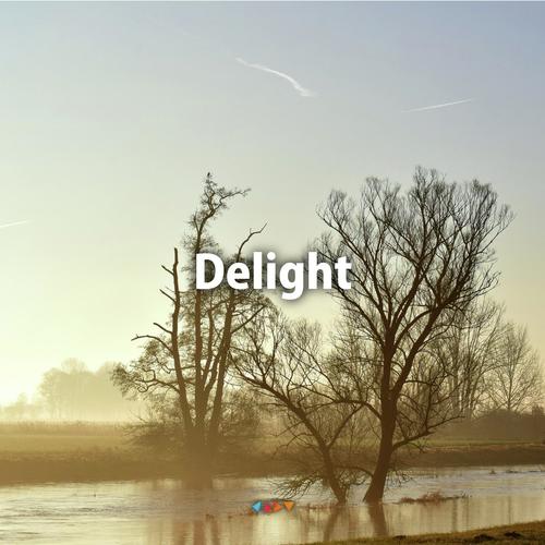 Delight cover art