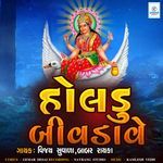 HOLDU BIVADAVE