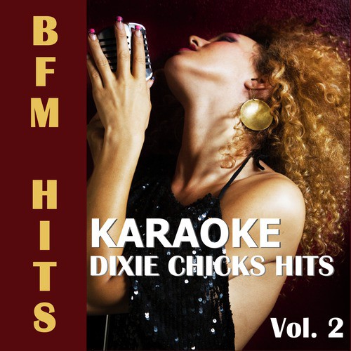 Karaoke Dixie Chicks Hits, Vol. 2