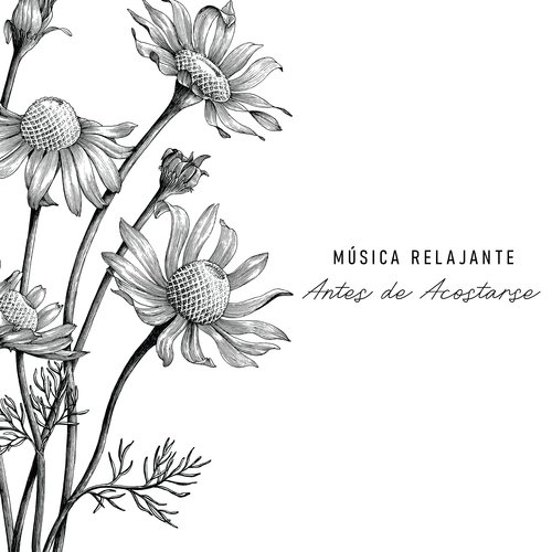 Flor de Loto cover art