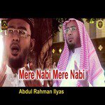 Mere Nabi Mere Nabi - Single