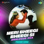 Meri Bheegi Bheegi Si - Analogue Mix