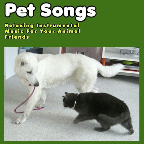 Titanic (Love Theme) - Song Download from Music for Cats @ JioSaavn