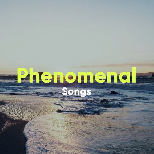 Phenomenal Songs for Easy Dreaming_poster_image