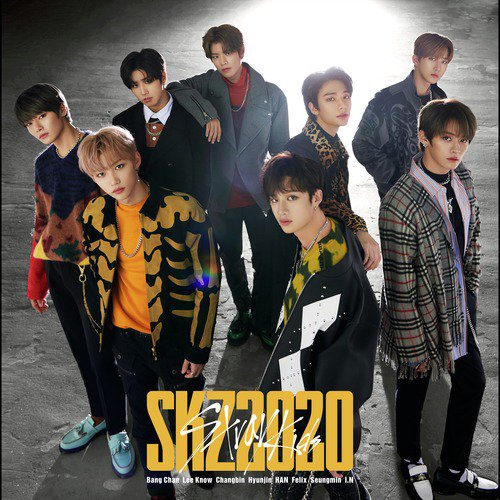 SKZ2020_poster_image