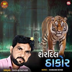 Sherdil Thakor-JAoGSTtiDlI