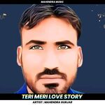 Teri Meri Love Story