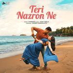 Teri Nazron Ne