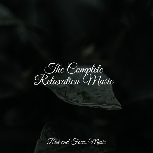 Sleep Waves cover art