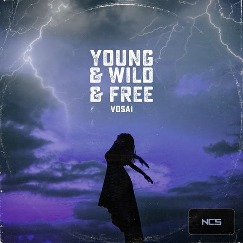 Young & Wild & Free_poster_image