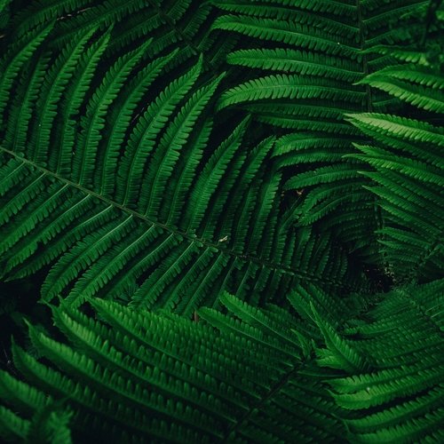 All Day Relaxation cover art