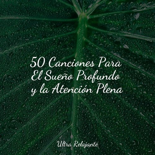 50 Canciones Para El Sueño Profundo y la Atención Plena