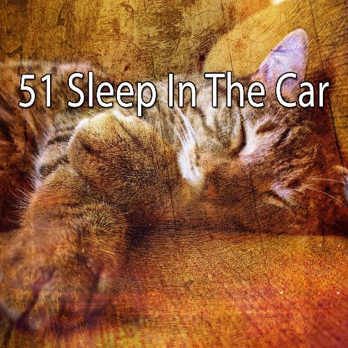 51 Sleep in the Car