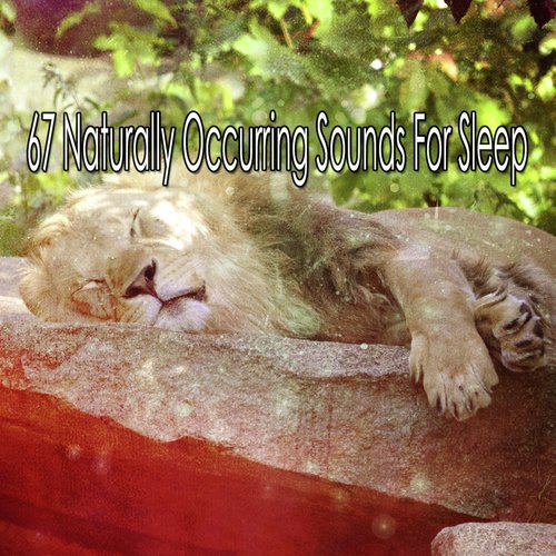 67 Naturally Occurring Sounds For Sleep