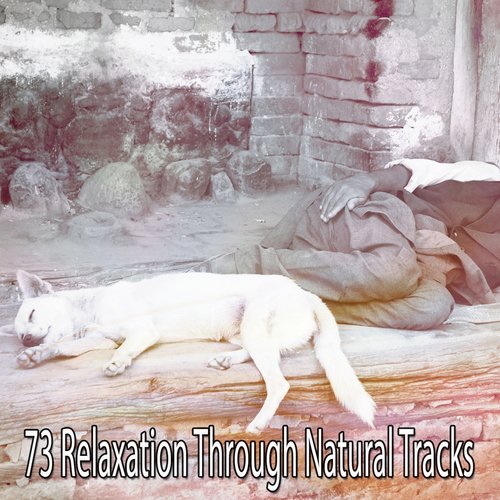 73 Relaxation Through Natural Tracks