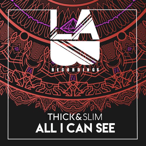 All I Can See_poster_image