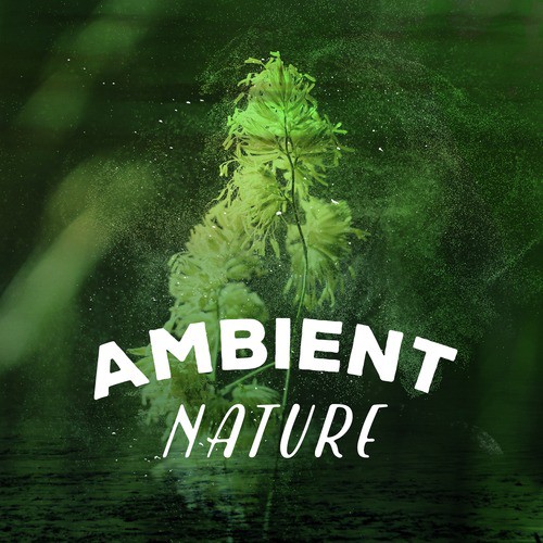 Ambient Nature