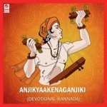 Anjikyakenaganjiki