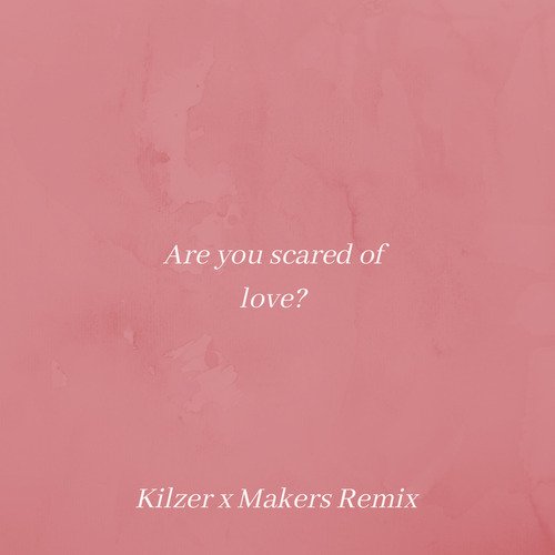 Are You Scared of Love (Kilzer &amp; Makers Remix)_poster_image