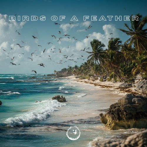BIRDS OF A FEATHER (Chill House Version)