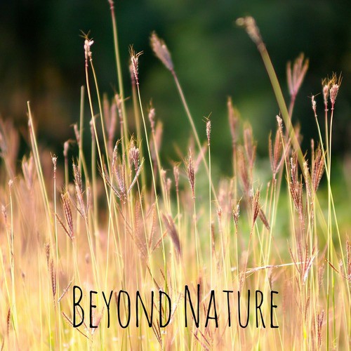Beyond Nature