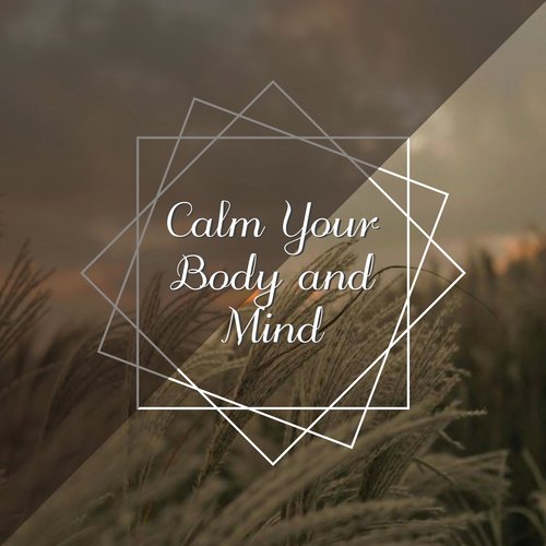 Calm Your Body and Mind_poster_image