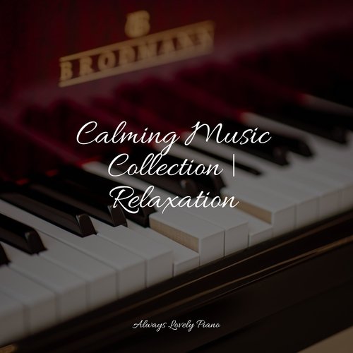 Calming Music Collection | Relaxation