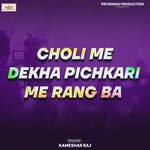Choli Me Dekha Pichkari Me Rang Ba