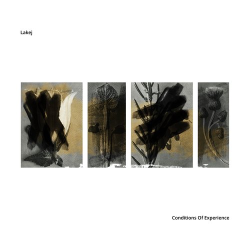 Nematic cover art