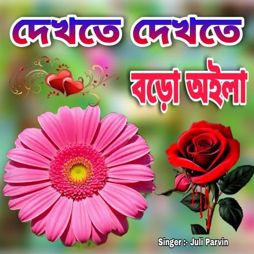Dekhte Dekhte Boro Oila