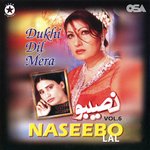 Dukhi Dil Mera, Vol. 6
