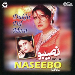 Dukhi Dil Mera, Vol. 6