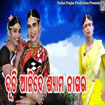 Duti Ani De Shyama Nagara, Pt. 1