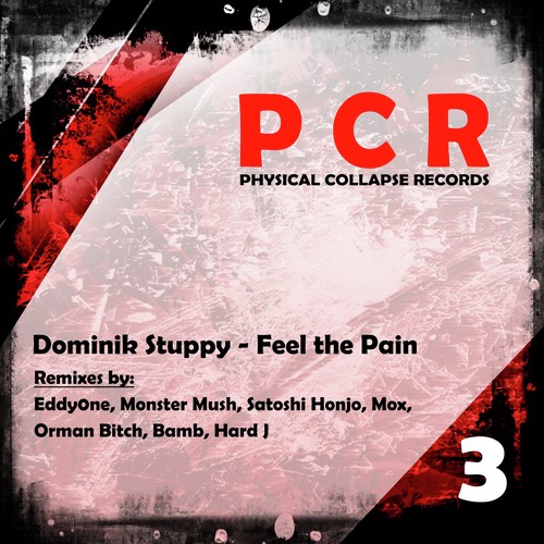 Feel the Pain - 2 cover art