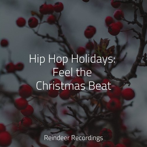 Hip Hop Holidays: Feel the Christmas Beat_poster_image