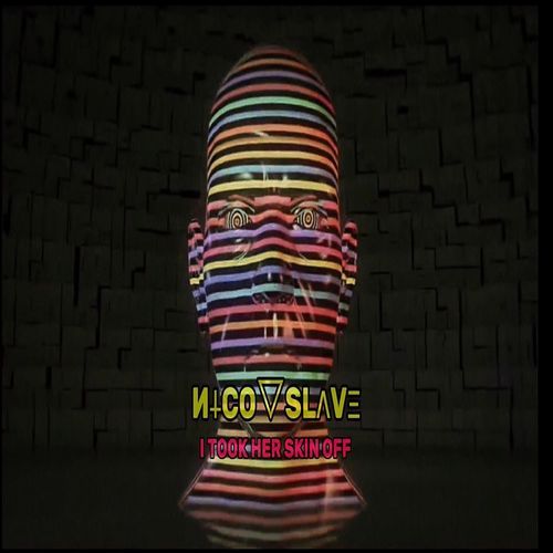 I TOOK HER SKIN OFF cover art