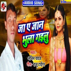 ja a Jaan bhula gailu