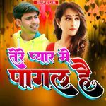 तेरे प्यार मे पागल है
