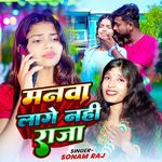 Manba Lage Nahi Raja