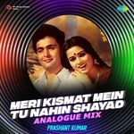 Meri Kismat Mein Tu Nahin Shayad - Analogue Mix