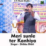 Meri sunle ter Kanhiya (Hindi Song)