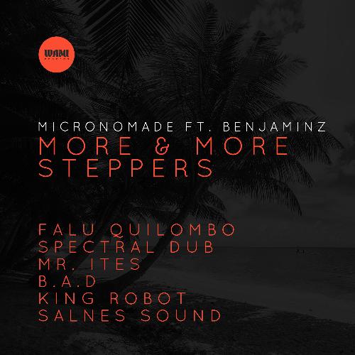 Falú Quilombo Version (feat. Benjaminz) cover art
