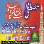Mustafa Aap Ke Jesa Koi Aaya Hi Nahi