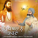 Oh Pathran Nu Taarda