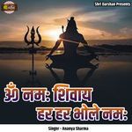 Om Namah Shivaay Har Har Bhole Namah